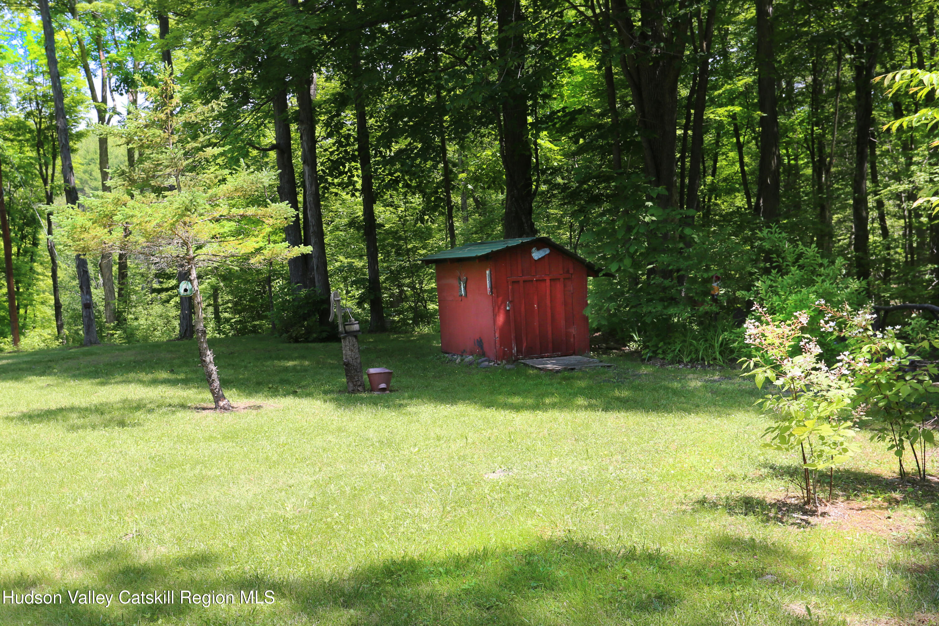 219 Edison Timmerman Road Cairo, NY 12413 - Photo 47 of 51 a fire hydrant in the middle of a field