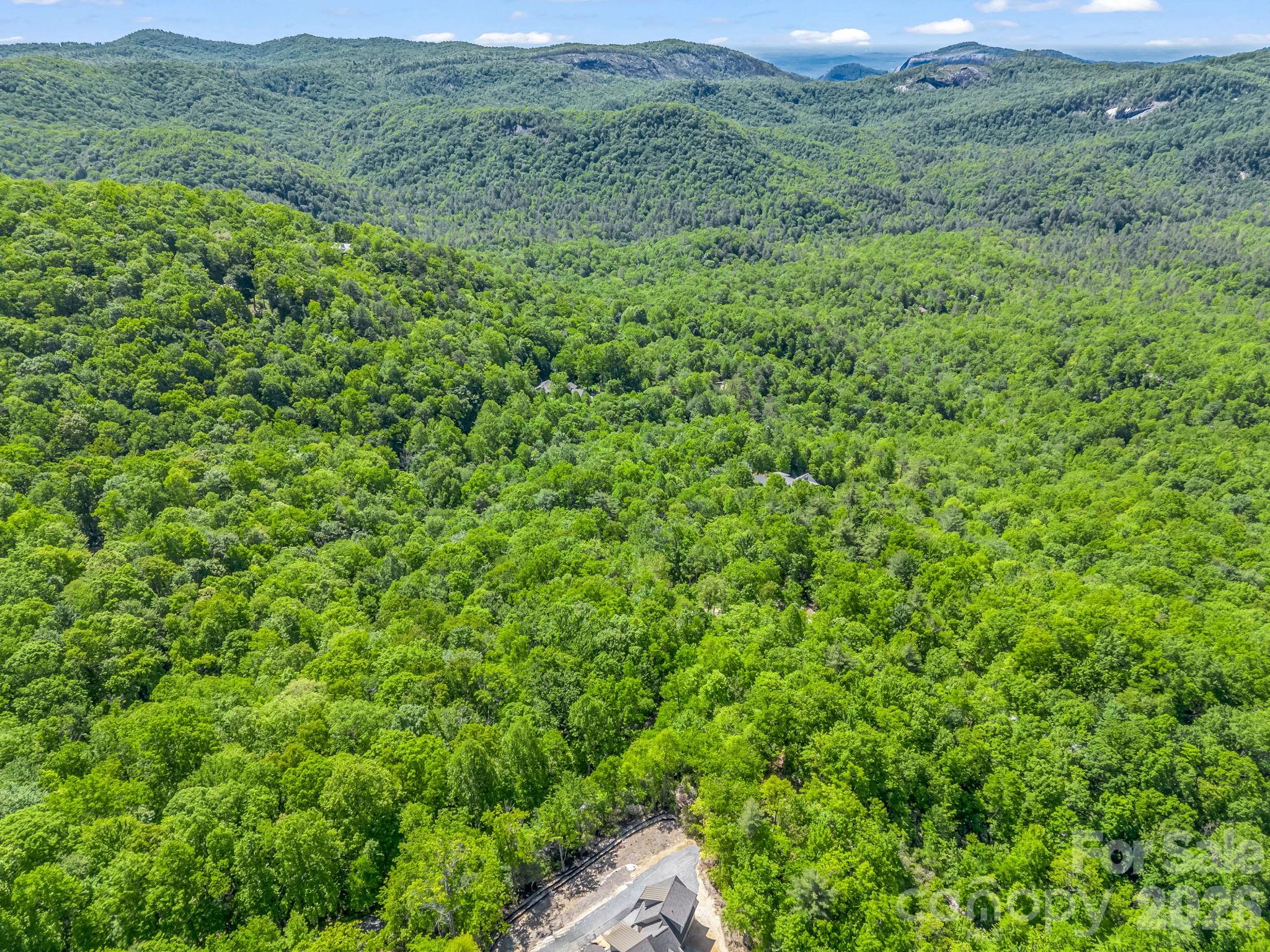 352 Big Hill Road Brevard, NC 28712 - Photo 14 of 31