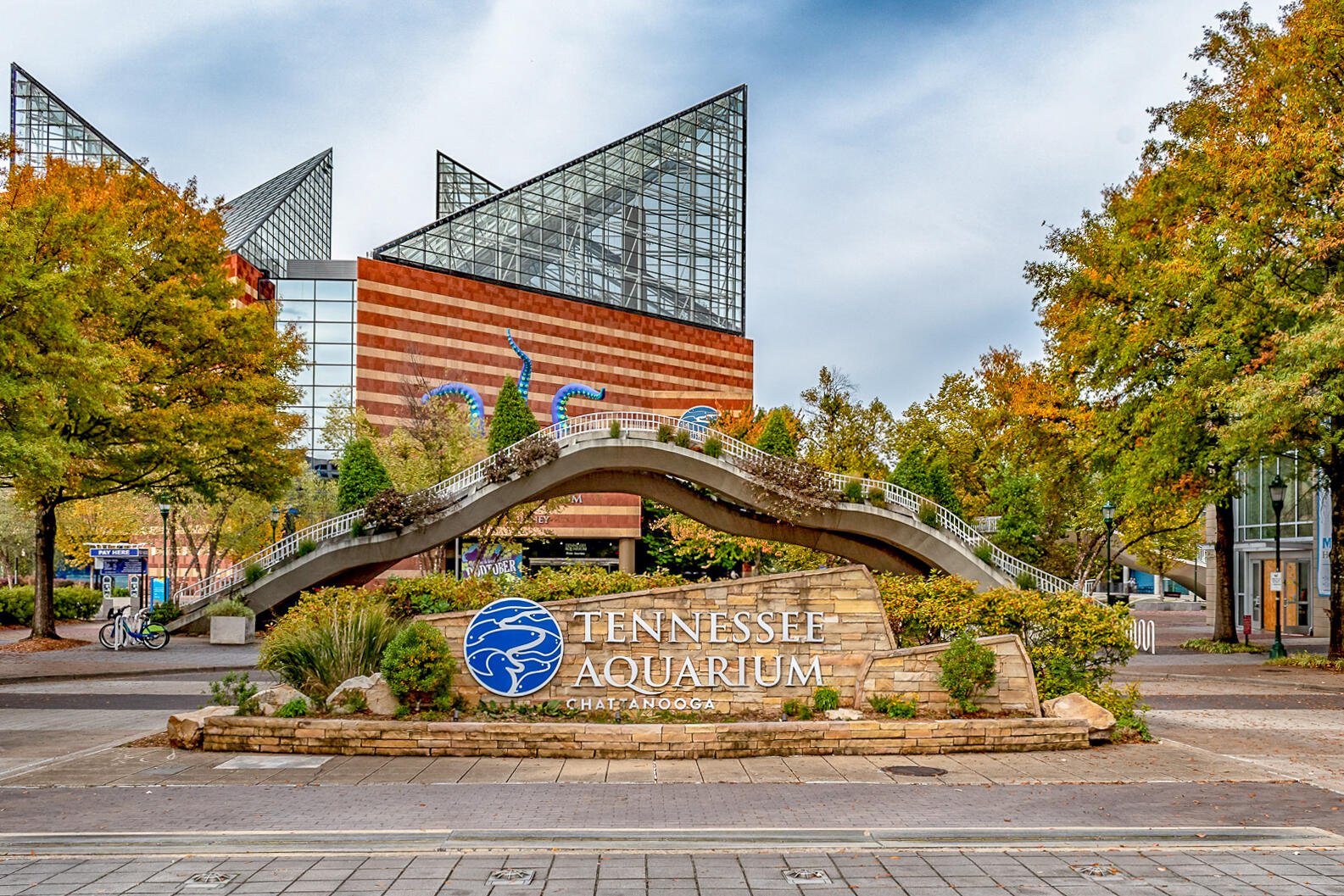 659 Bespoke Way Chattanooga, TN 37403 - Photo 27 of 34 Tennessee Aquarium