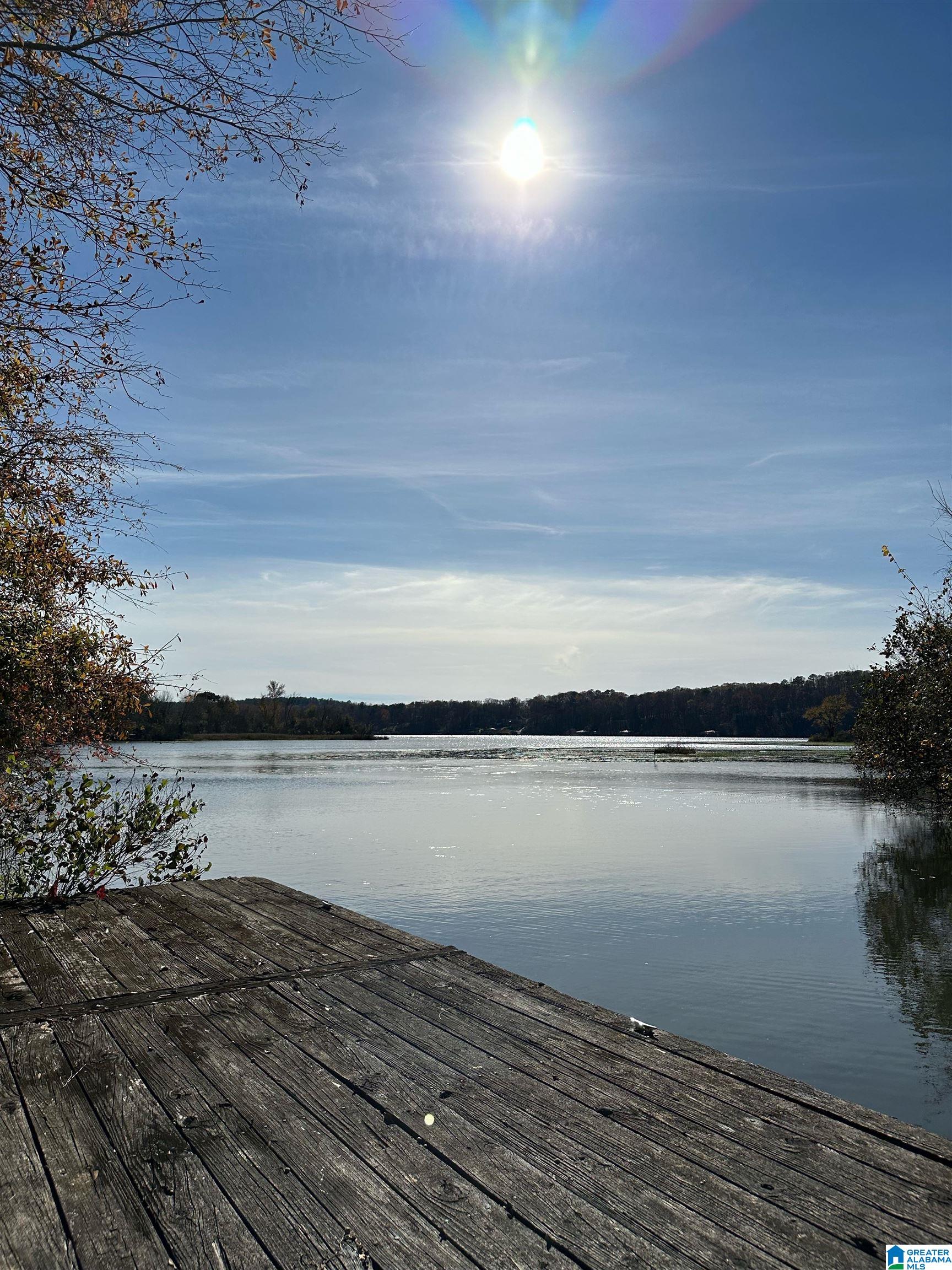Lot 5 Carleton Point, Unit 5 Wilsonville, AL 35186 - Photo 1 of 12