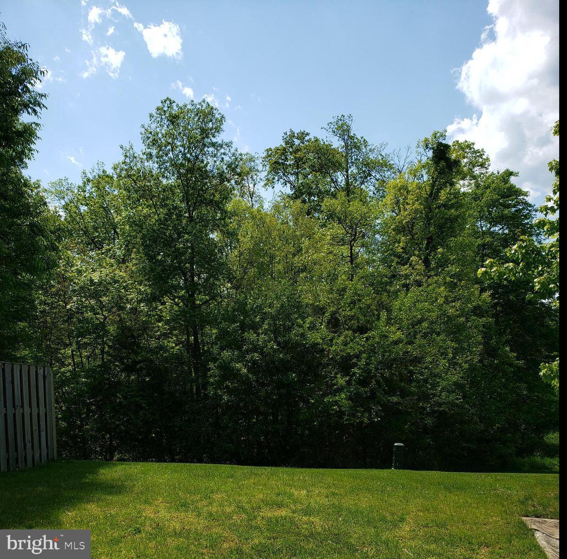 20431 Scioto Terrace Ashburn, VA 20147 - Photo 15 of 15 Peaceful backyard with treed view!
