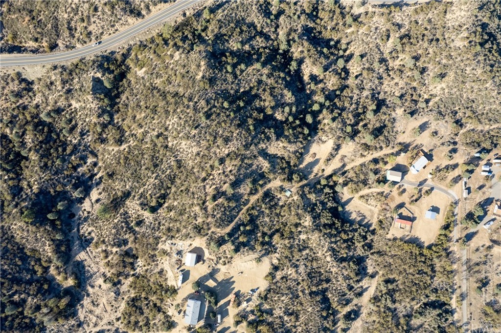 60600 Burnt Valley Road Anza, CA 92539 - Photo 33 of 46 a picture of a tree