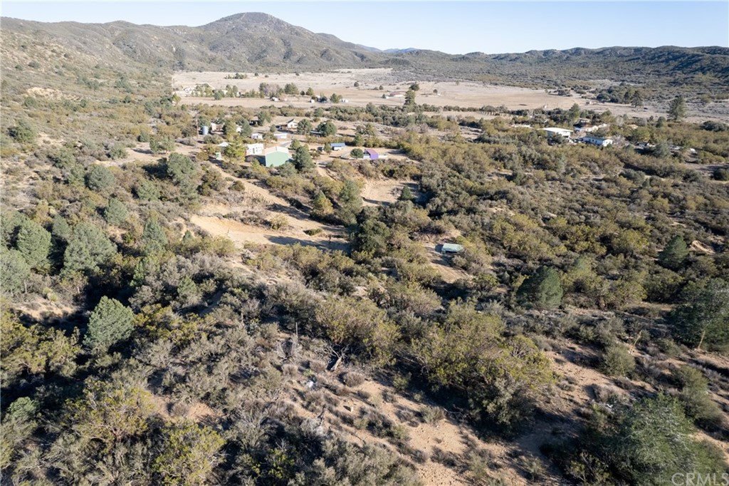 60600 Burnt Valley Road Anza, CA 92539 - Photo 44 of 46 an aerial view of residential house and covered with trees