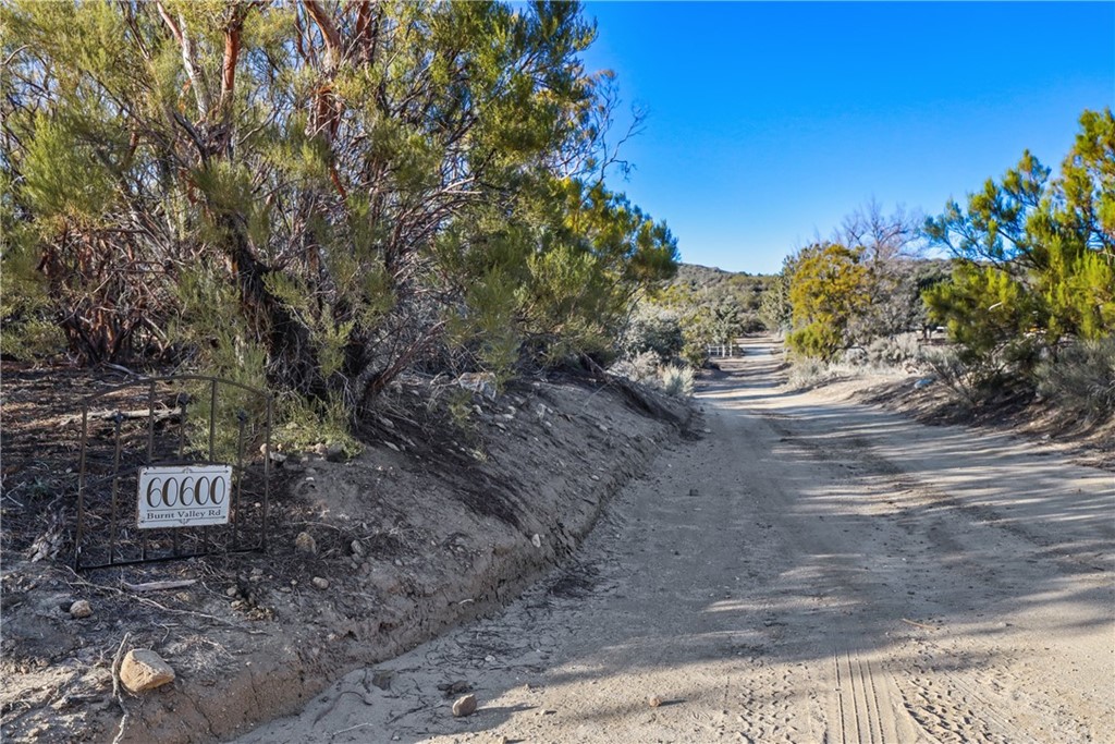 60600 Burnt Valley Road Anza, CA 92539 - Photo 45 of 46 a view of a street with a trees in the background