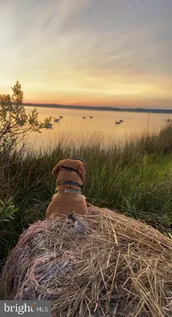 $259,000 | 3419 Marsh Road, Ewell, MD 21824