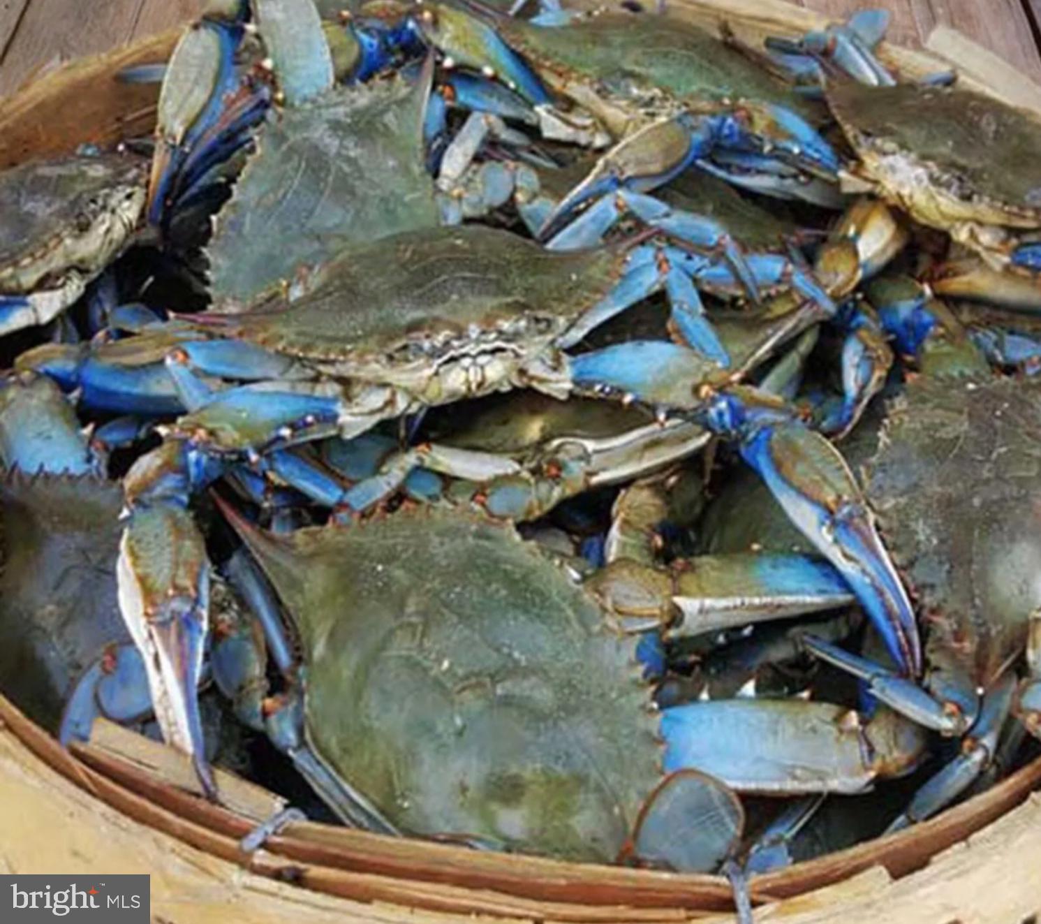 3419 Marsh Road Ewell, MD 21824 - Photo 30 of 34 an aerial view of a highlighted house