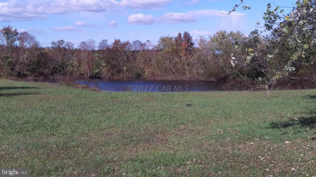 8749 Bethel Road Willards, MD 21874 - Photo 4 of 26