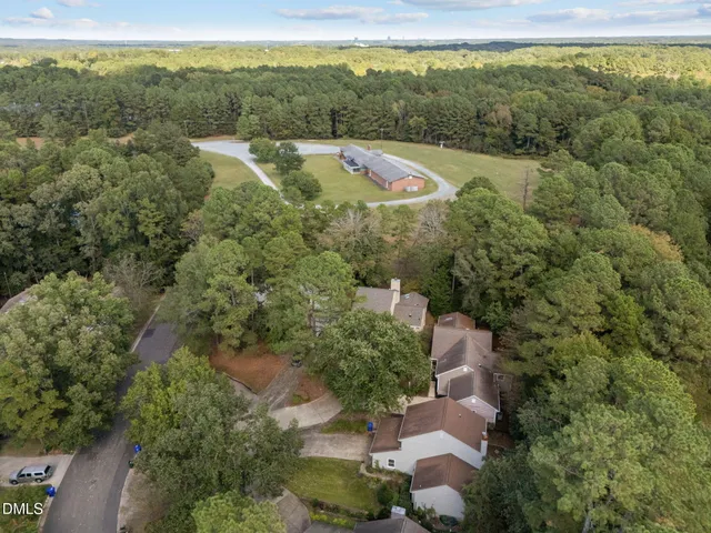 a view of a forest with a street