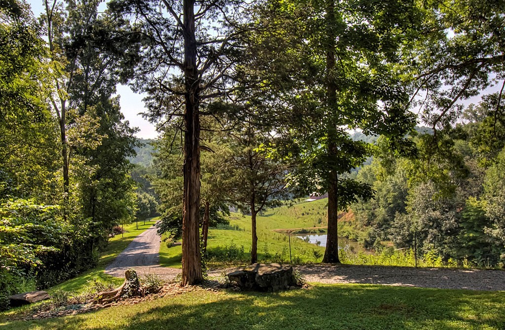 1451 Baker Road Sevierville, TN 37876 - Photo 45 of 74 Gallery Image 45