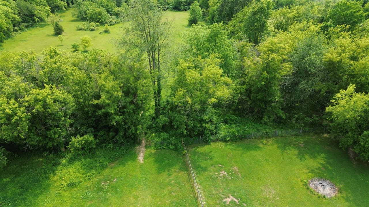 17281 Ely Road Manchester, MI 48158 - Photo 57 of 90