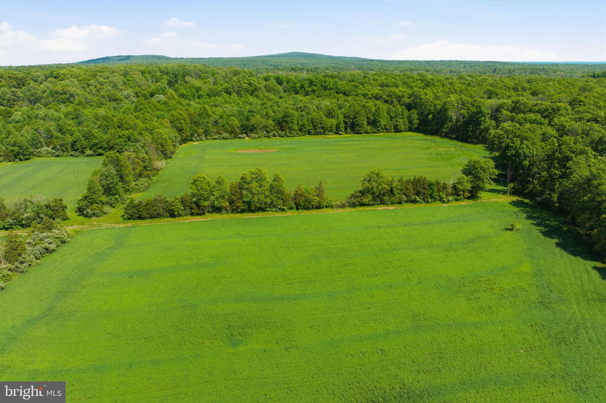1540 Roundhouse Road Quakertown, PA 18951 - Photo 8 of 20 Lush green fields meet serene woods.