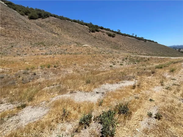 a view of a dry yard with mountains in the background