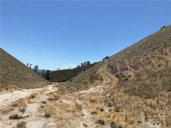 a view of a dry yard with a mountain