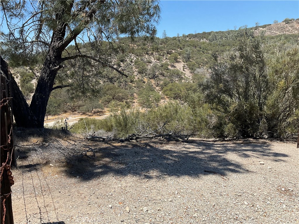 0 Martinez Road King City, CA 93930 - Photo 2 of 52 a view of a yard with trees