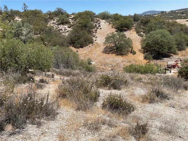 a view of a dry yard with mountains in the background