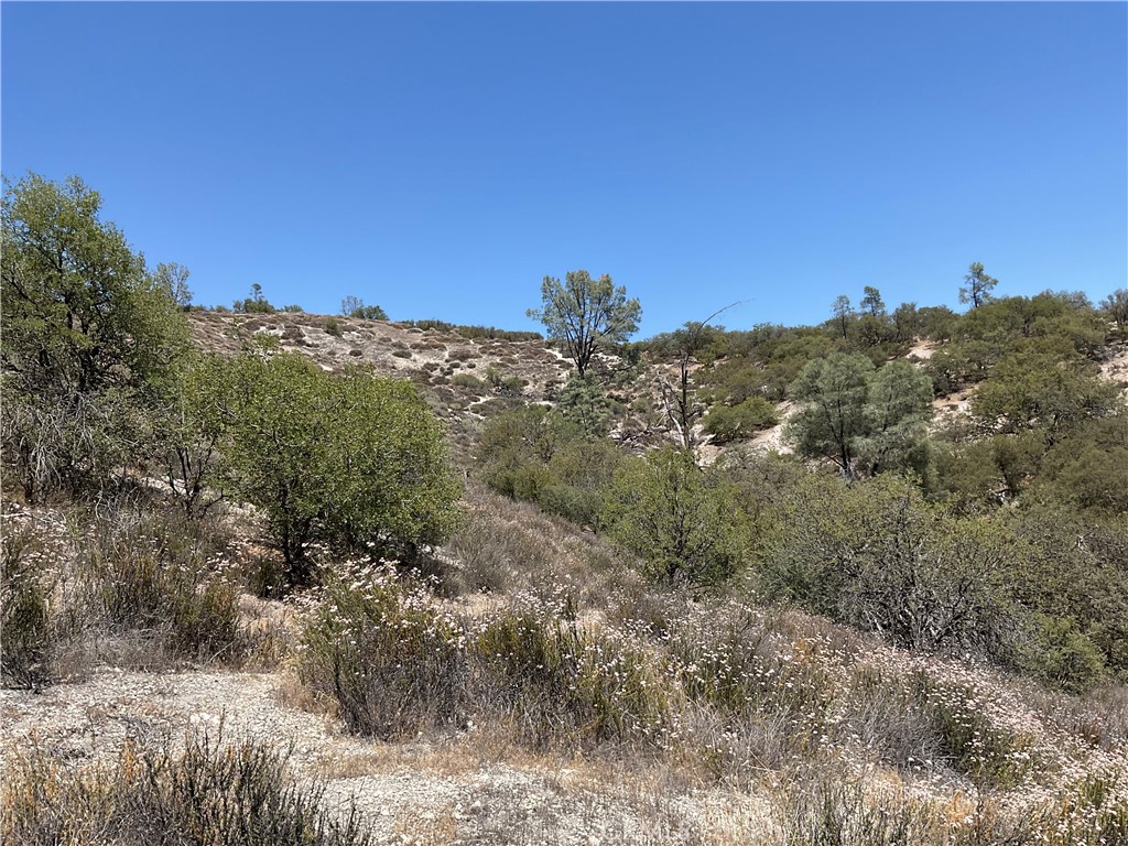 0 Martinez Road King City, CA 93930 - Photo 27 of 52 a view of a dry yard with mountains in the background