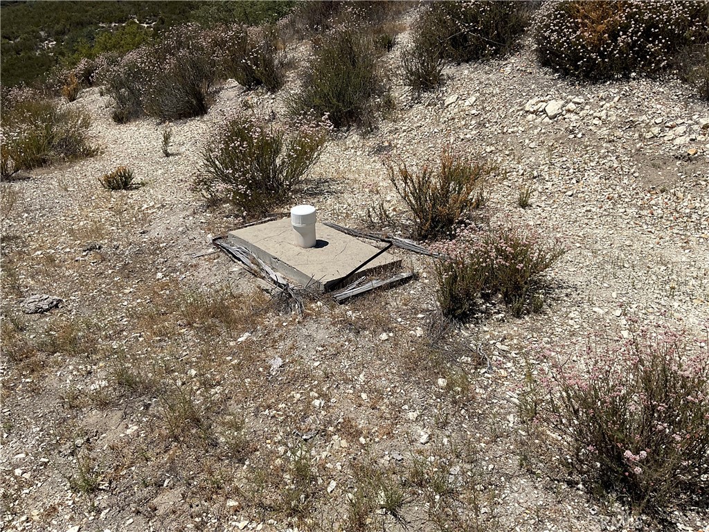 0 Martinez Road King City, CA 93930 - Photo 28 of 52 a view of a dry yard with trees