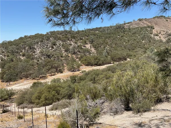 a view of a yard with wooden fence