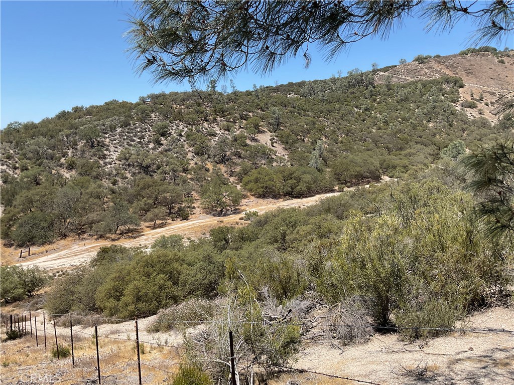 0 Martinez Road King City, CA 93930 - Photo 3 of 52 a view of a yard with wooden fence