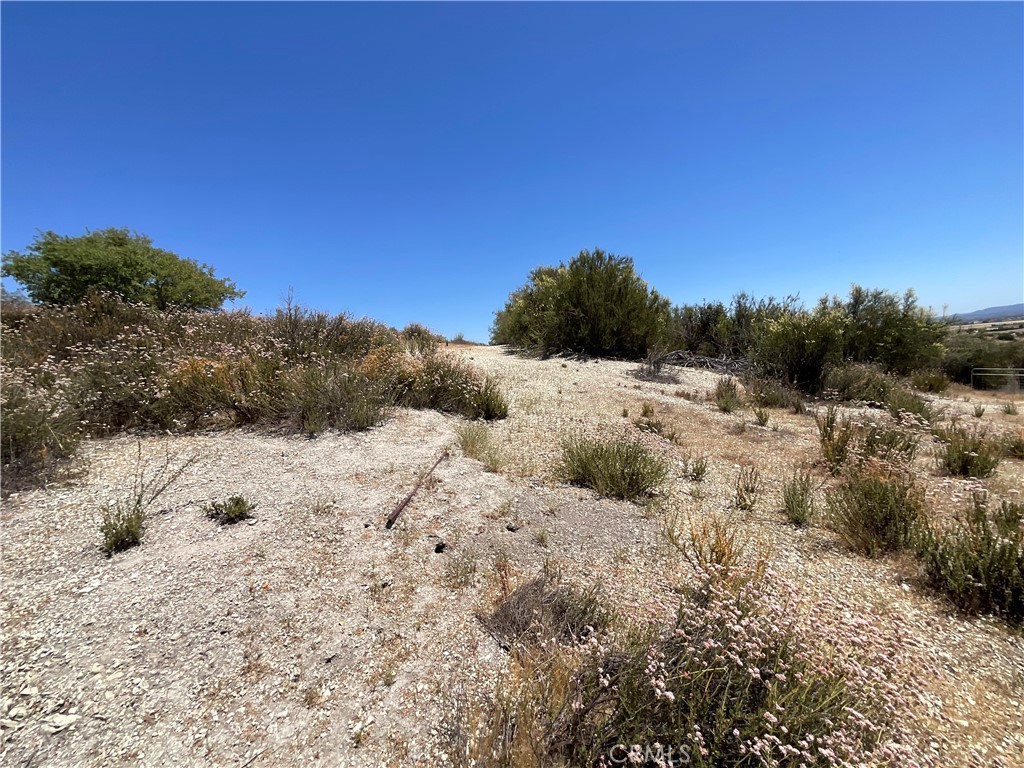 0 Martinez Road King City, CA 93930 - Photo 31 of 52 a view of a dry yard with trees
