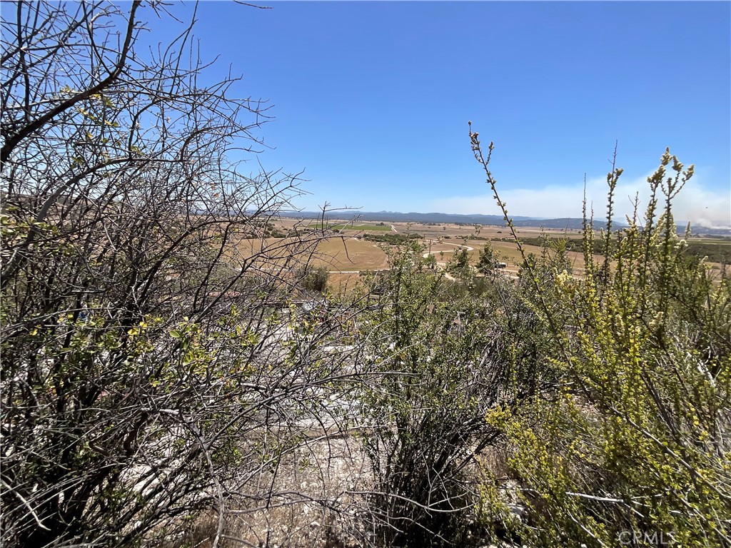 0 Martinez Road King City, CA 93930 - Photo 35 of 52 a view of a yard
