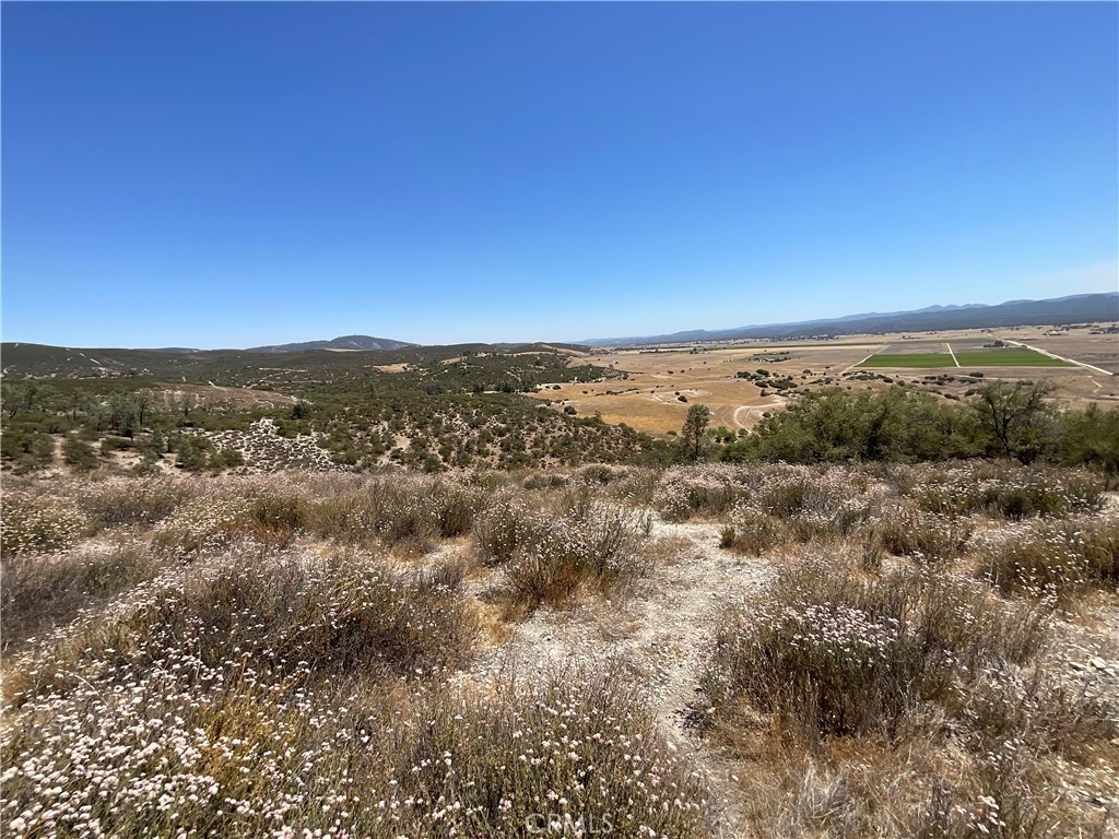 0 Martinez Road King City, CA 93930 - Photo 37 of 52 an aerial view of residential houses with outdoor space and trees