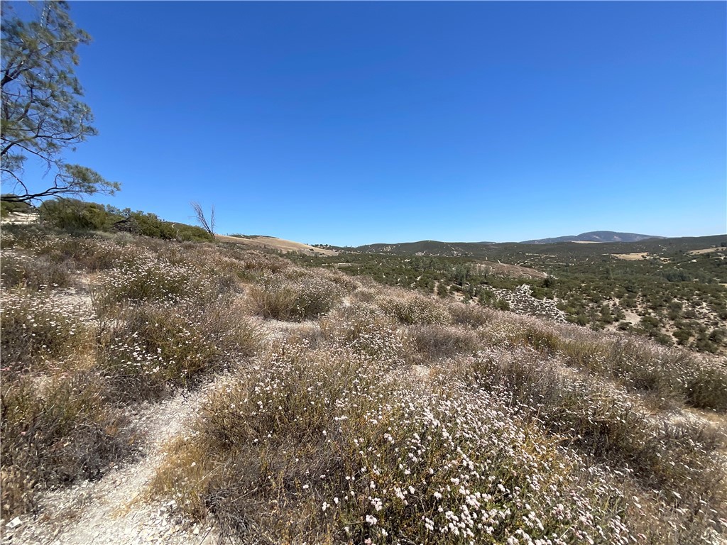 0 Martinez Road King City, CA 93930 - Photo 39 of 52 a view of city and mountain
