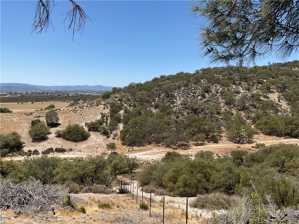 0 Martinez Road King City, CA 93930 - Photo 4 of 52 a view of a yard with wooden fence