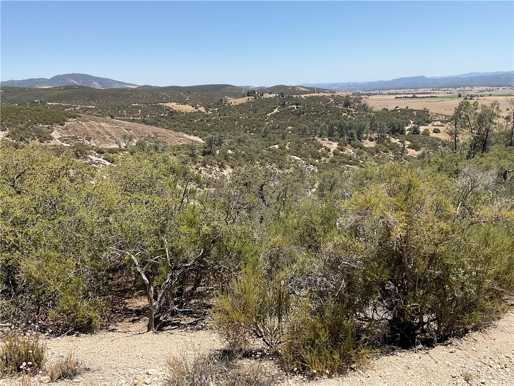 0 Martinez Road King City, CA 93930 - Photo 43 of 52 a view of a forest with mountains in the background