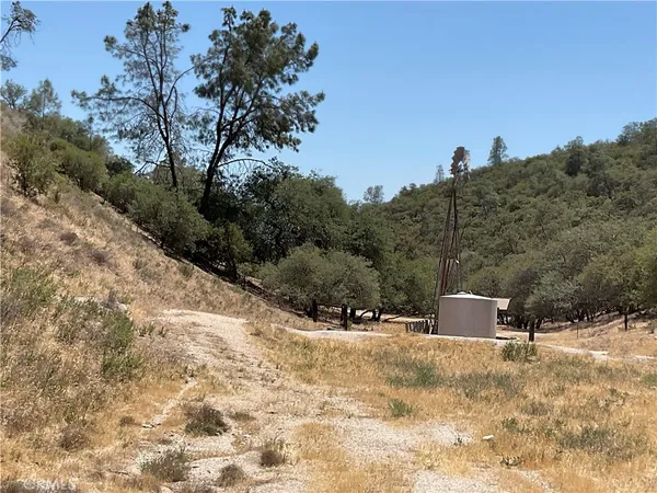 a view of a dry yard with trees in the background