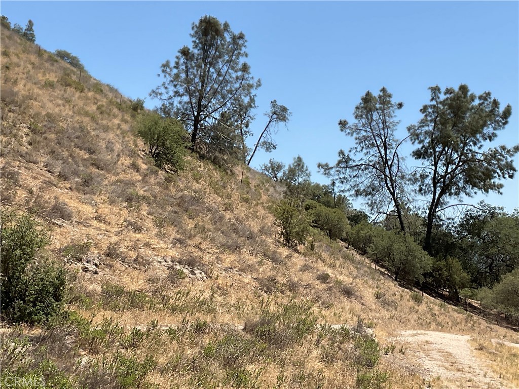 0 Martinez Road King City, CA 93930 - Photo 48 of 52 a view of a dry yard with trees in the background