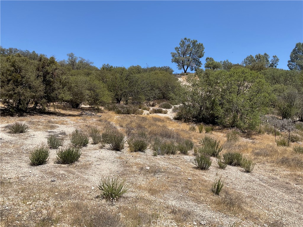 0 Martinez Road King City, CA 93930 - Photo 49 of 52