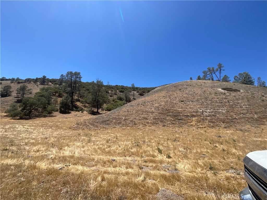 0 Martinez Road King City, CA 93930 - Photo 8 of 52 a view of a dry yard with trees