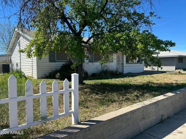 a view of a yard with plants