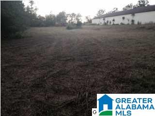 1551 Hagood Mtn Road Morris, AL 35116 - Photo 27 of 32