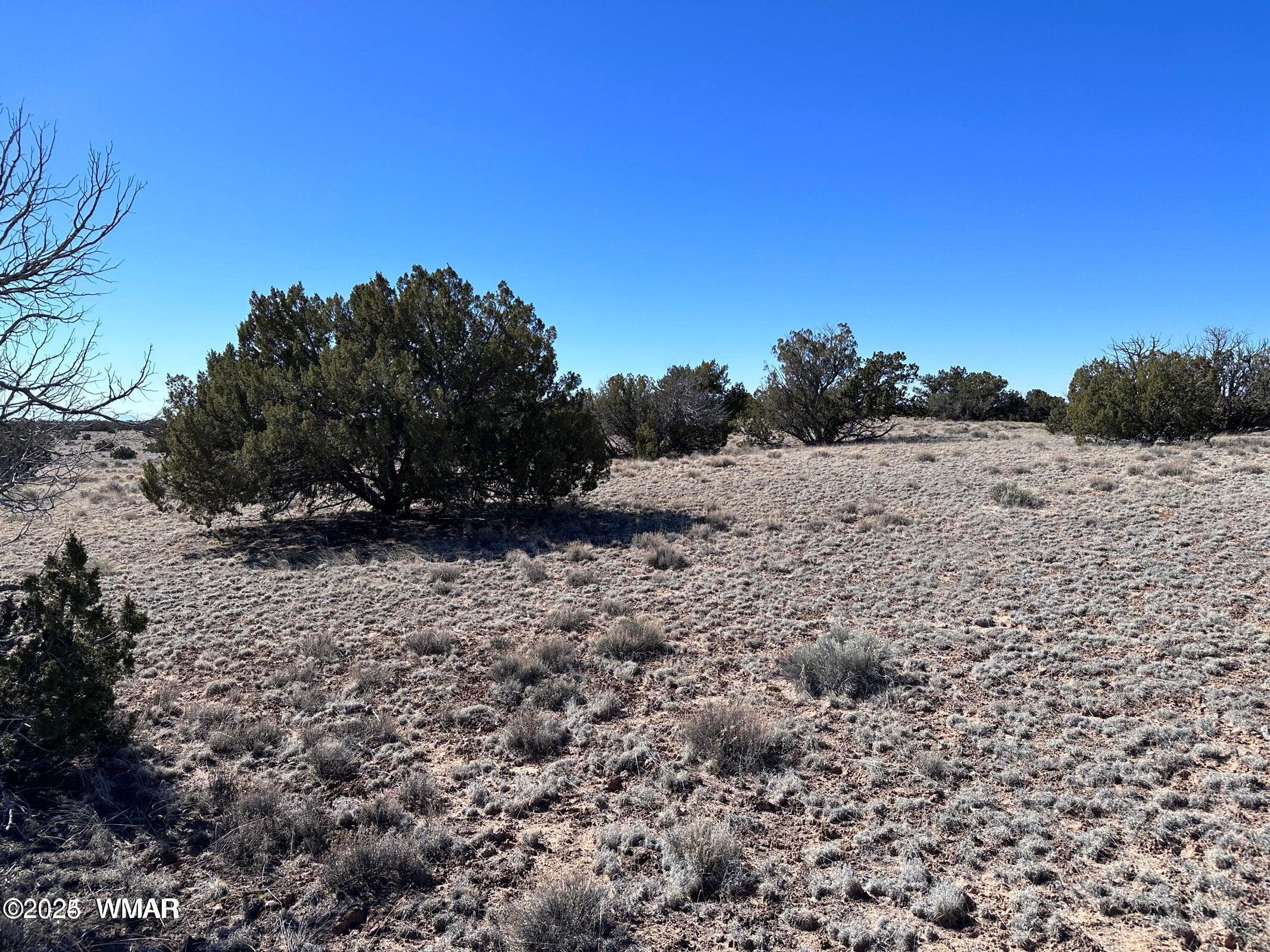 4 North Q N N7204 Springerville, AZ 85938 - Photo 1 of 7 004Q1