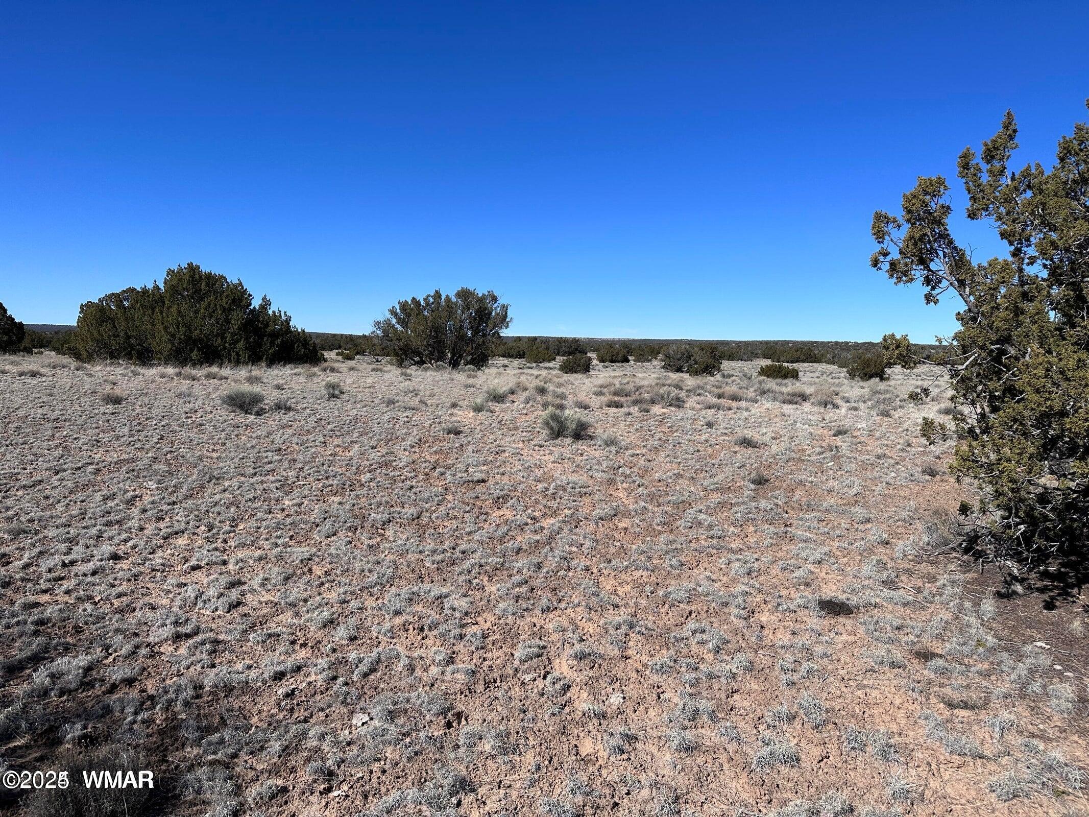 4 North Q N N7204 Springerville, AZ 85938 - Photo 3 of 7 004Q3