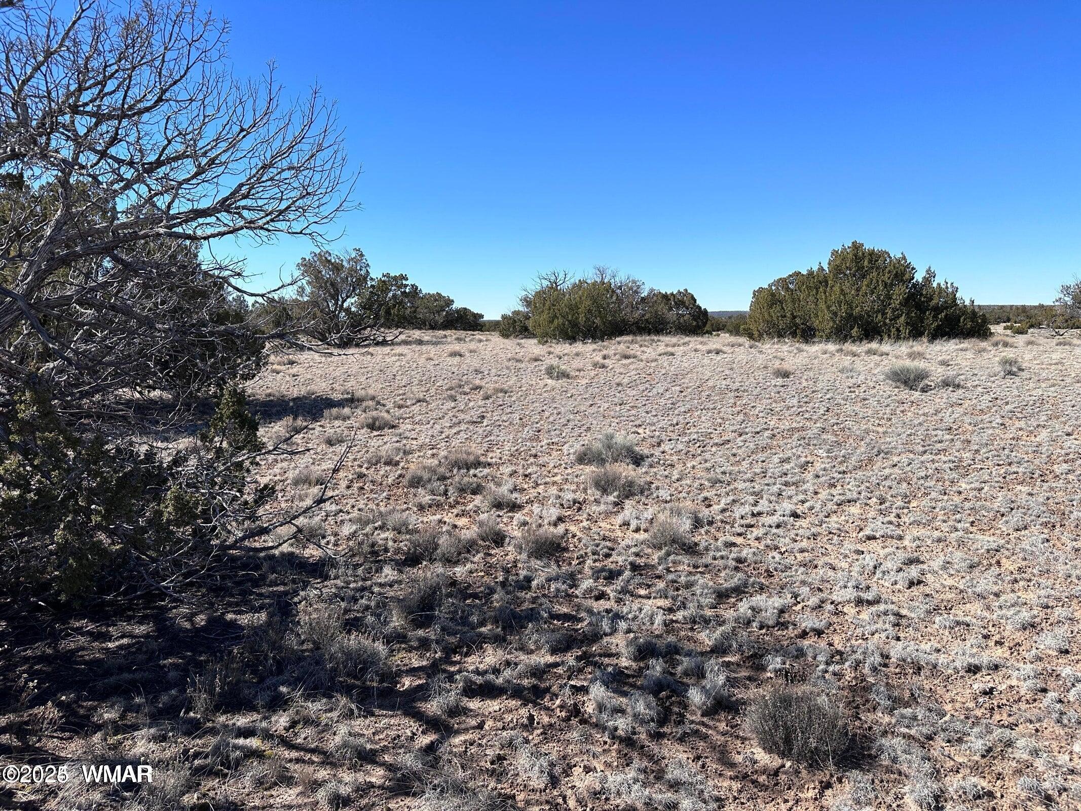 4 North Q N N7204 Springerville, AZ 85938 - Photo 4 of 7 004Q4