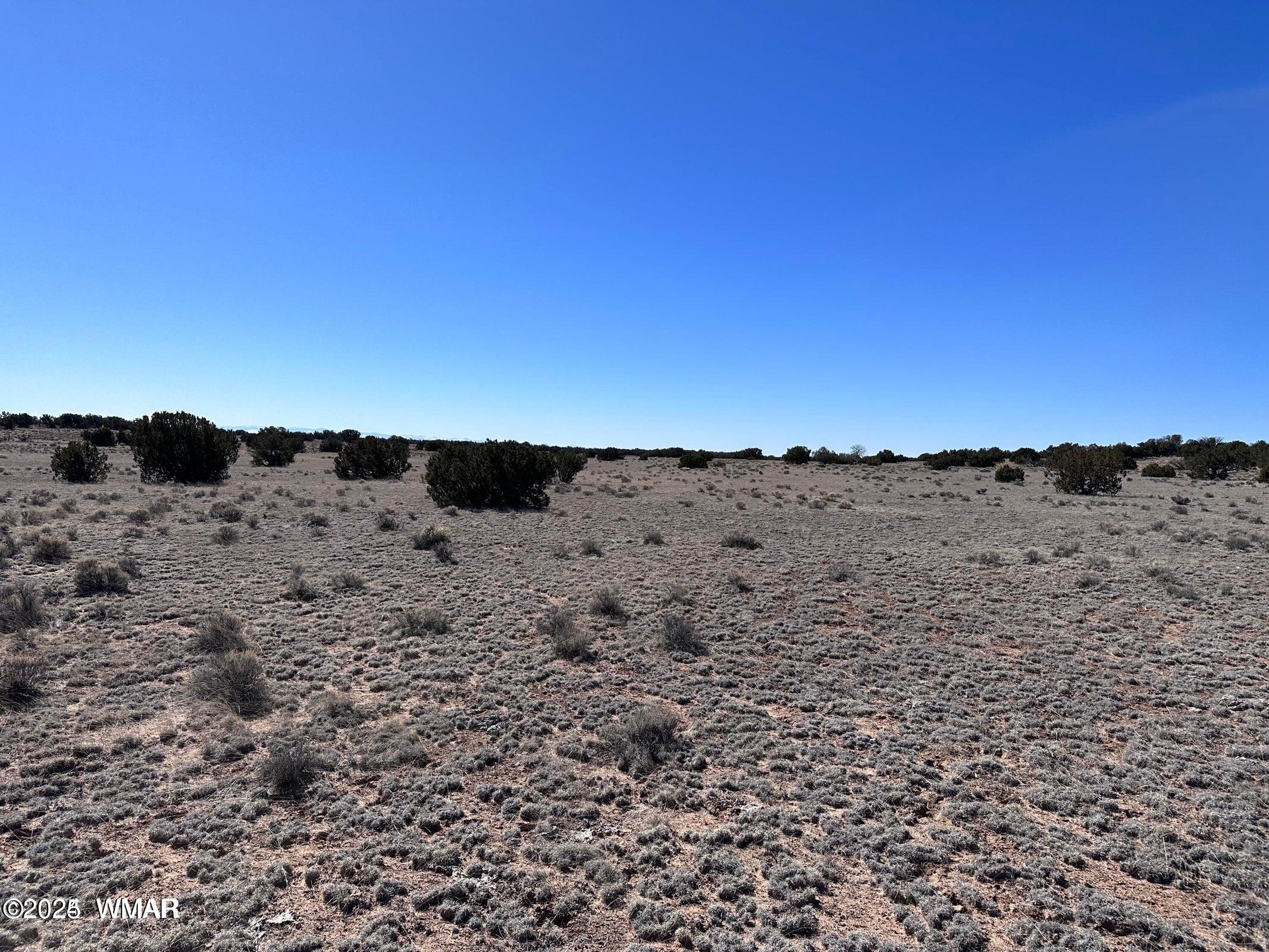 4 North Q N N7204 Springerville, AZ 85938 - Photo 5 of 7 004Q5