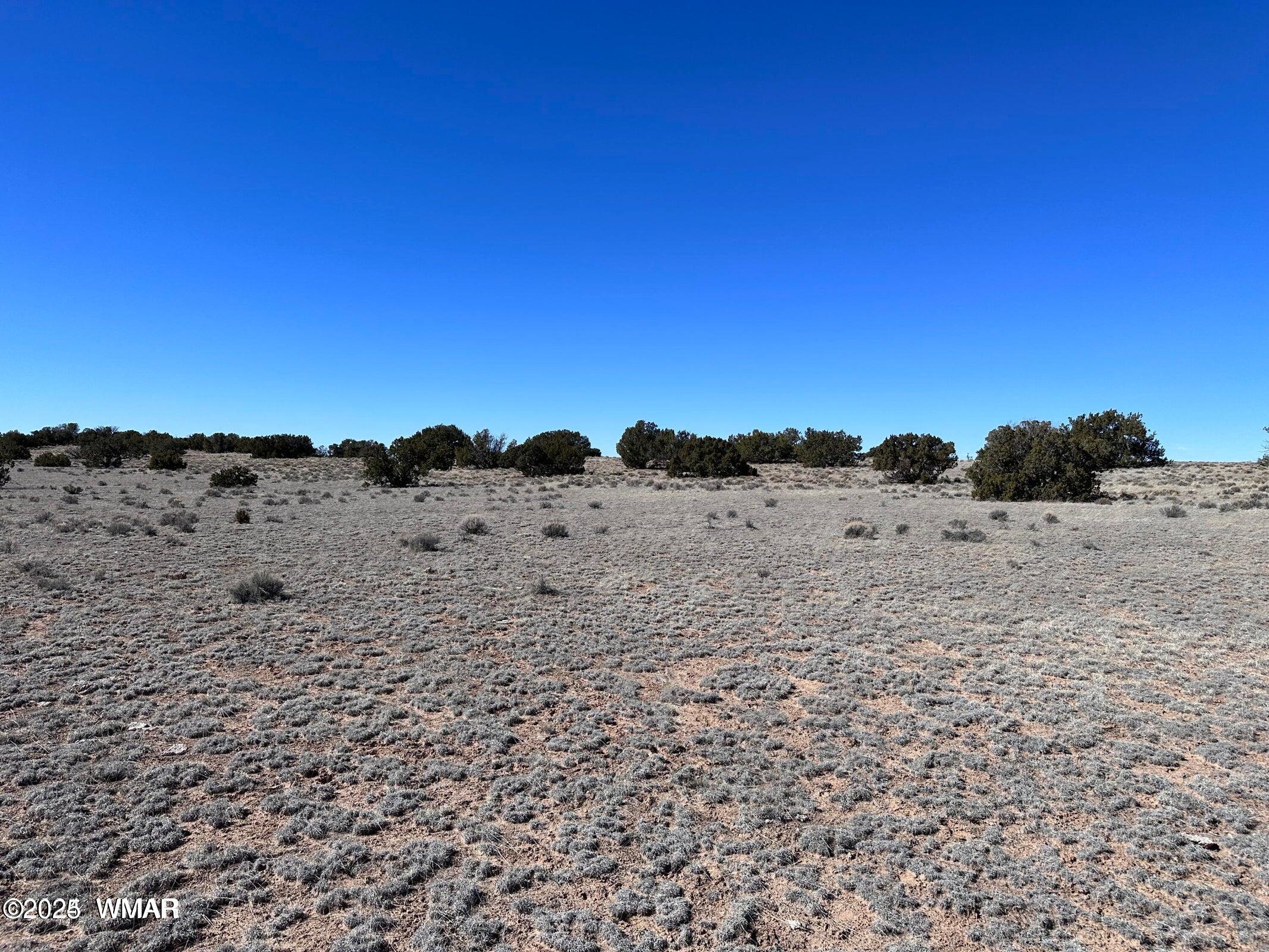 4 North Q N N7204 Springerville, AZ 85938 - Photo 7 of 7 004Q7
