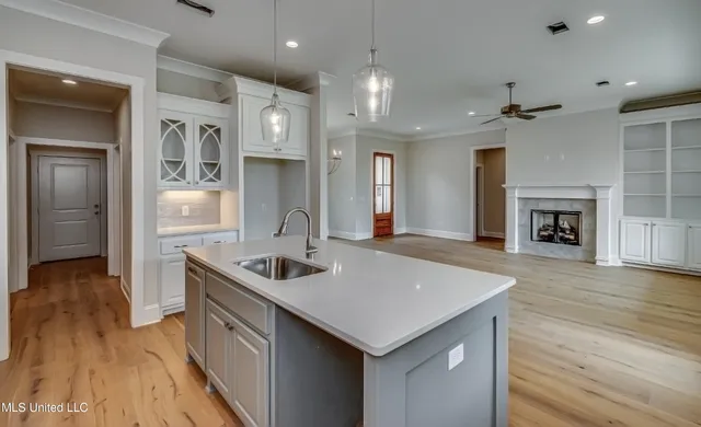 $405,000 | 117 Charleston Lane, Madison, MS 39110