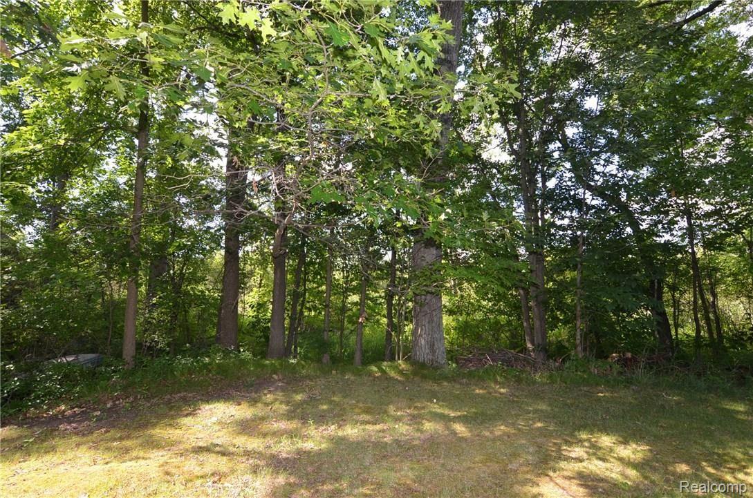 11897 Shaffer Road Davisburg, MI 48350 - Photo 6 of 27 YOUR NEIGHBORS