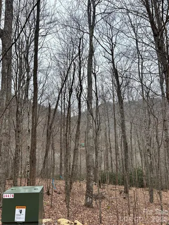 a view of covered with trees