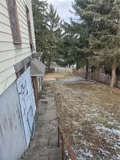 a view of a yard with a tree