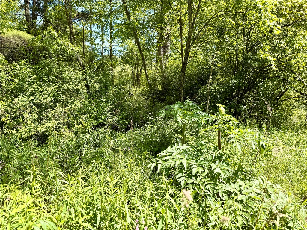 Copes Corners Road South New Berlin, NY 13843 - Photo 10 of 10
