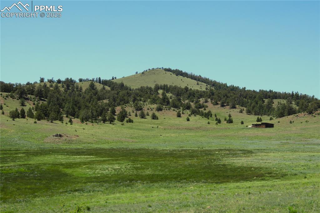 State Highway Guffey, CO 80820 - Photo 3 of 6 a view of a grassy field with trees