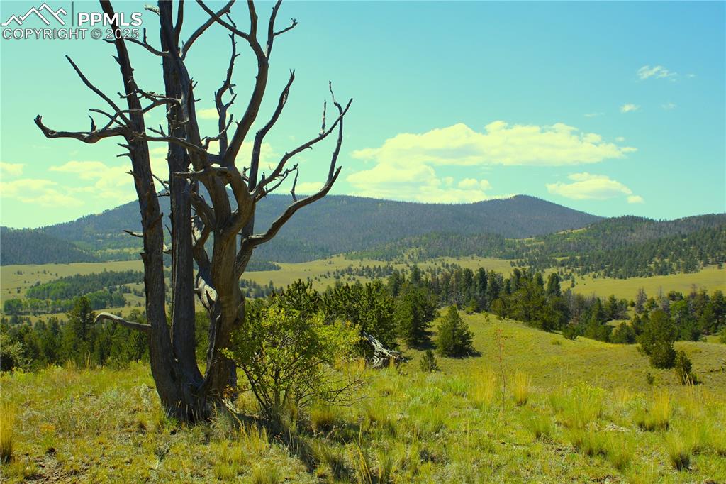 State Highway Guffey, CO 80820 - Photo 4 of 6 a view of a lake with a mountain in the background