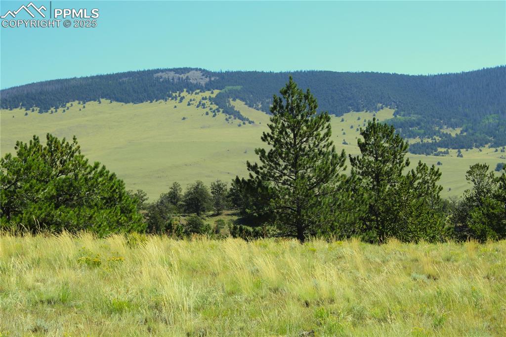 State Highway Guffey, CO 80820 - Photo 5 of 6 a view of lake with mountain in the background