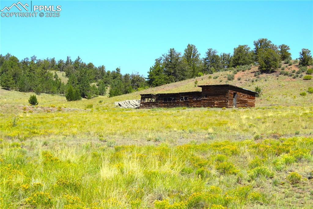 State Highway Guffey, CO 80820 - Photo 6 of 6 a swimming pool with trees in the background