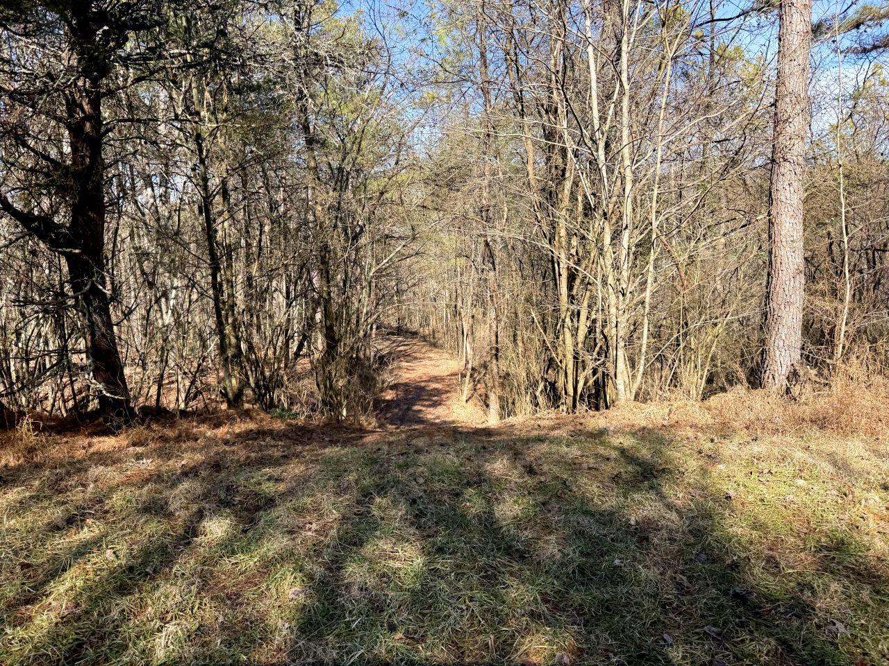 Auction Tract 26 View